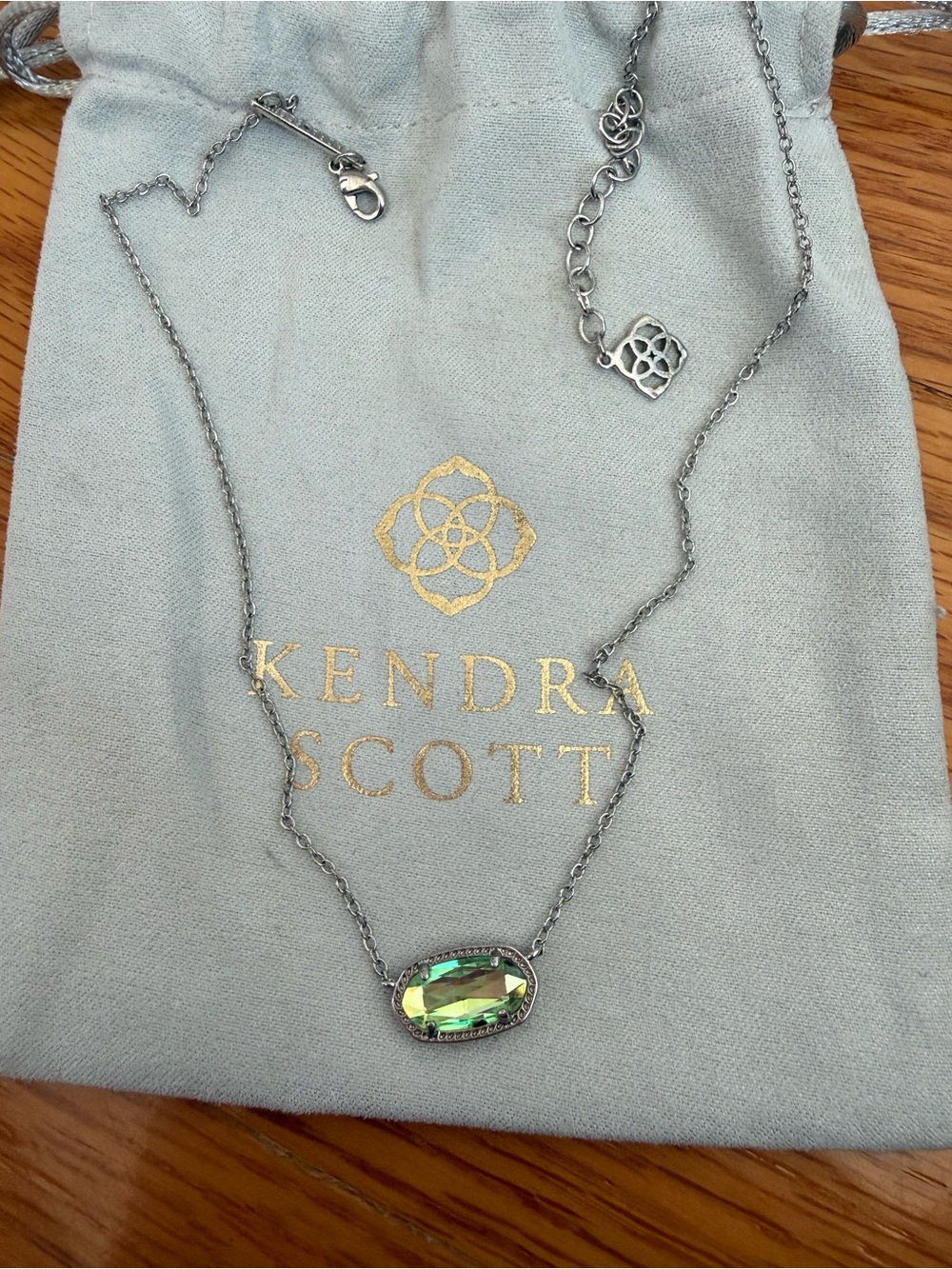 Kendra Scott Silver Necklace with Green Iridescent Oval Pendant